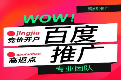 竞价SEM与社交媒体结合的营销案例研究